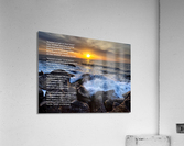 M E Barber WreckedOutright Acrylic Print