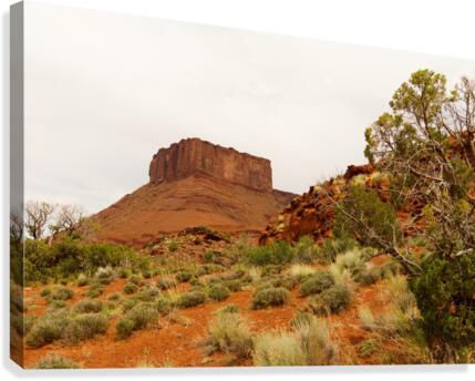Castle Valley - No. 4 Canvas Print