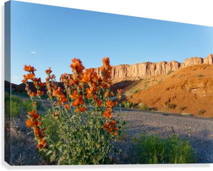 Castle Valley - No. 12 Canvas Print