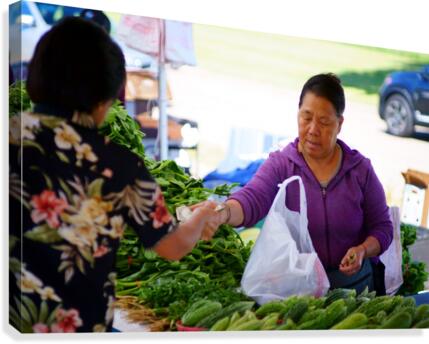 Farmers Market - No. 3 Canvas Print