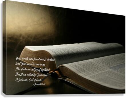 Your Words Were Found Canvas Print