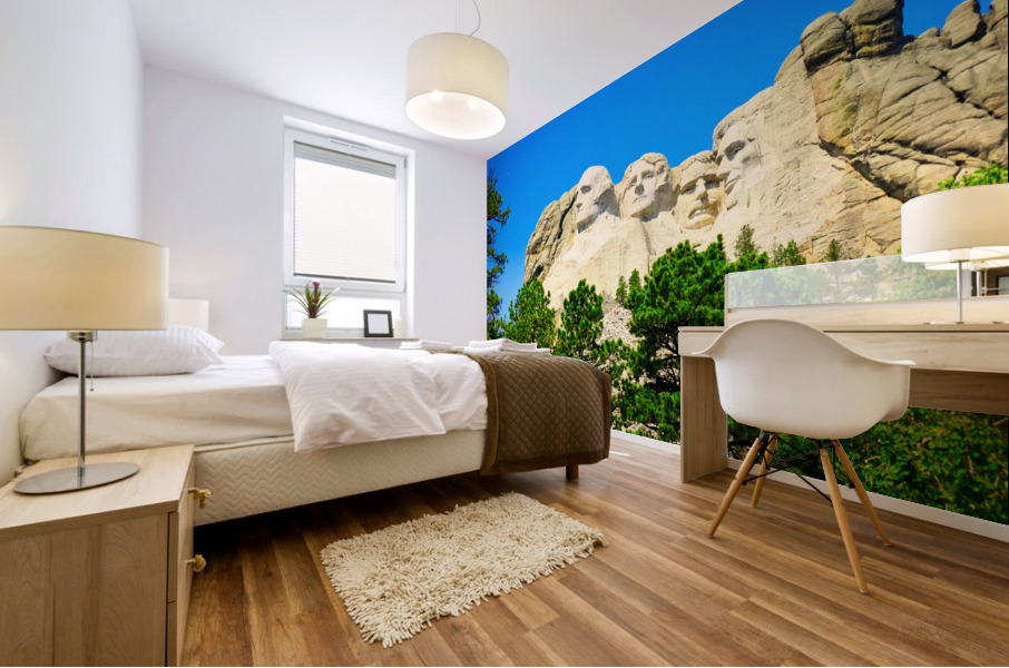 Mount Rushmore - No. 1 Mural print