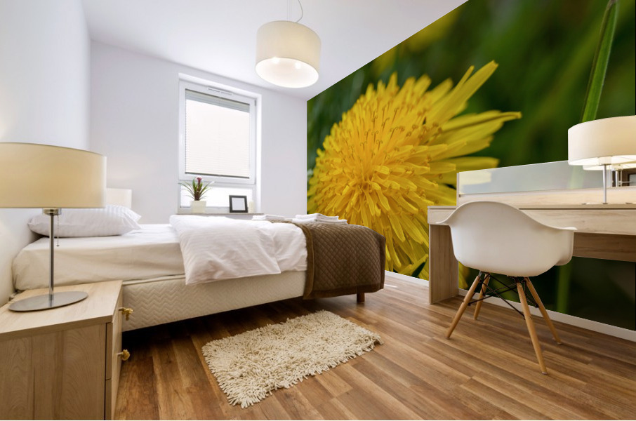 Dandelion - Plain and Simple Mural print