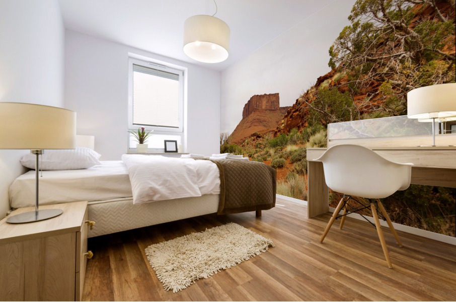 Castle Valley - No. 4 Mural print