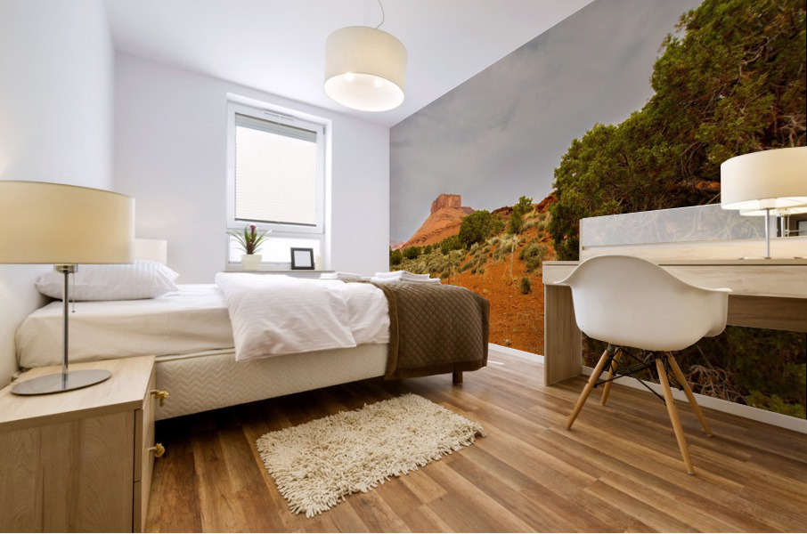 Castle Valley - No. 3 Mural print