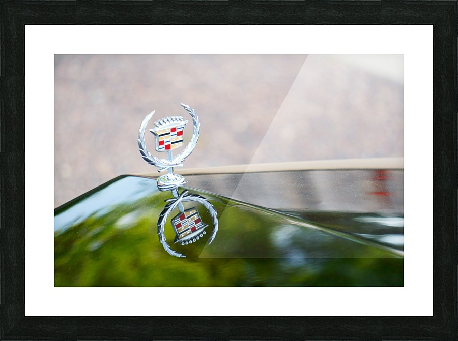  Fine Art print