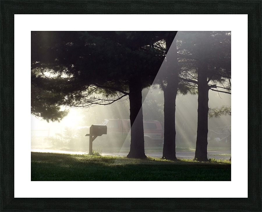  Fine Art print