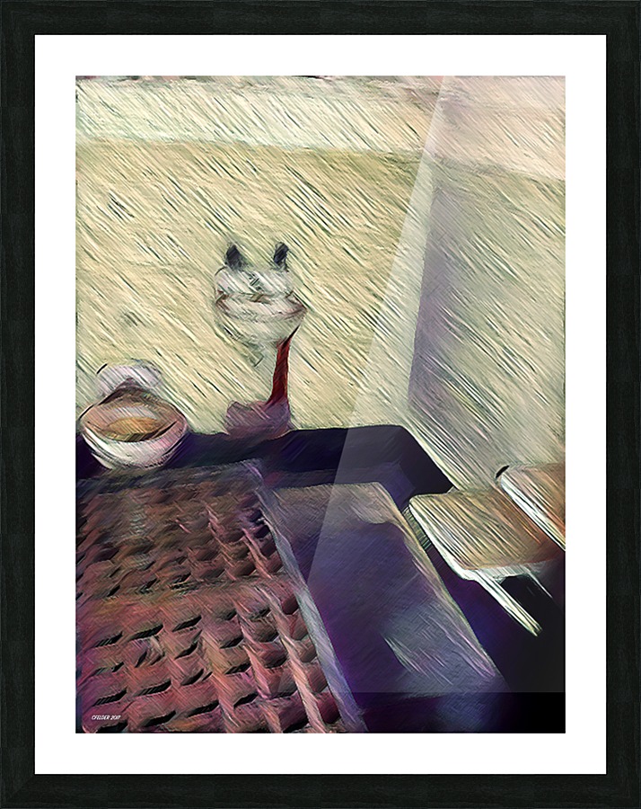 Alcatraz Picture Frame print