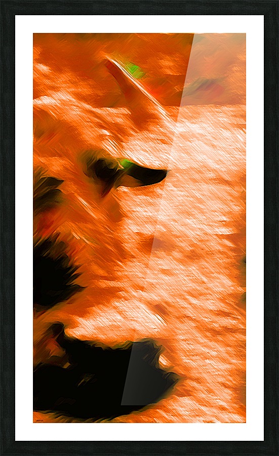 Büffeln Picture Frame print