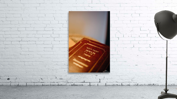 Torah Wall Preview