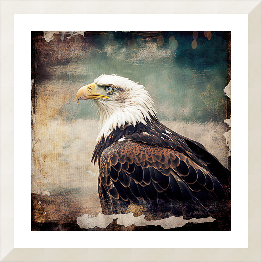 Bald Eagle 9 Picture Frame print