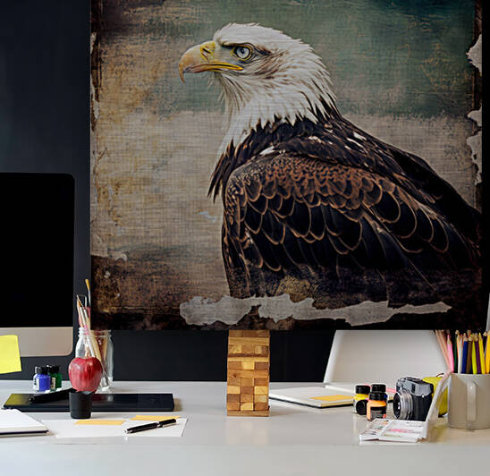 Bald Eagle 9 by Artonomous Gallery