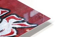Quack Pack HD Metal print