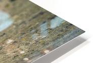 Fuzz HD Metal print