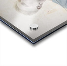 de bruyne Acrylic print