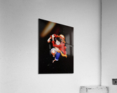 Lufi Acrylic Print