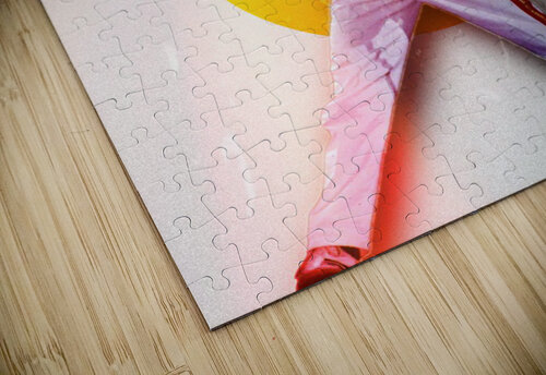 freddie Gariins puzzle