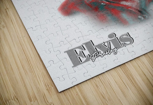 elvis Gariins puzzle