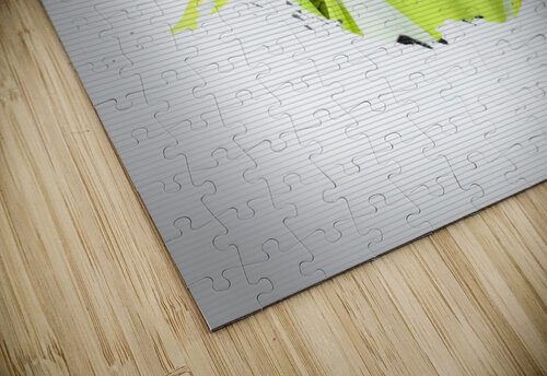 Eilish Gariins puzzle
