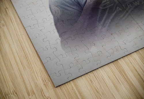 de bruyne Gariins puzzle