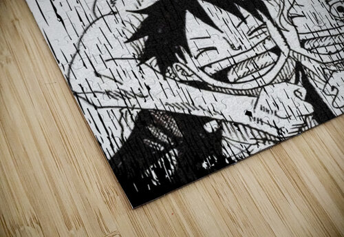 One piece Gariins puzzle