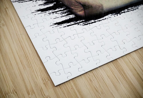 Thor Gariins puzzle