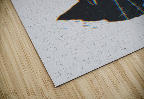 Jackie Gariins puzzle