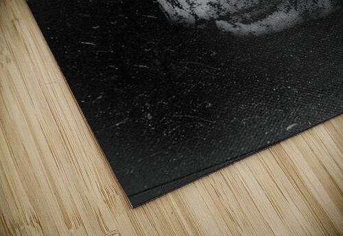 Nirvana3 Gariins puzzle