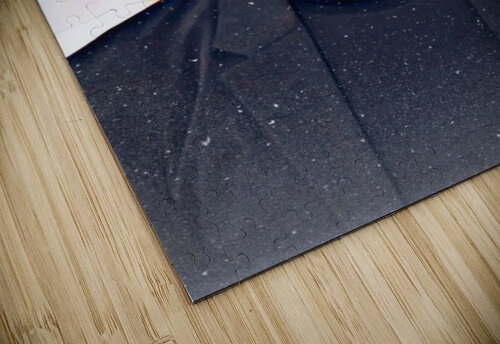 Toni stark Gariins puzzle