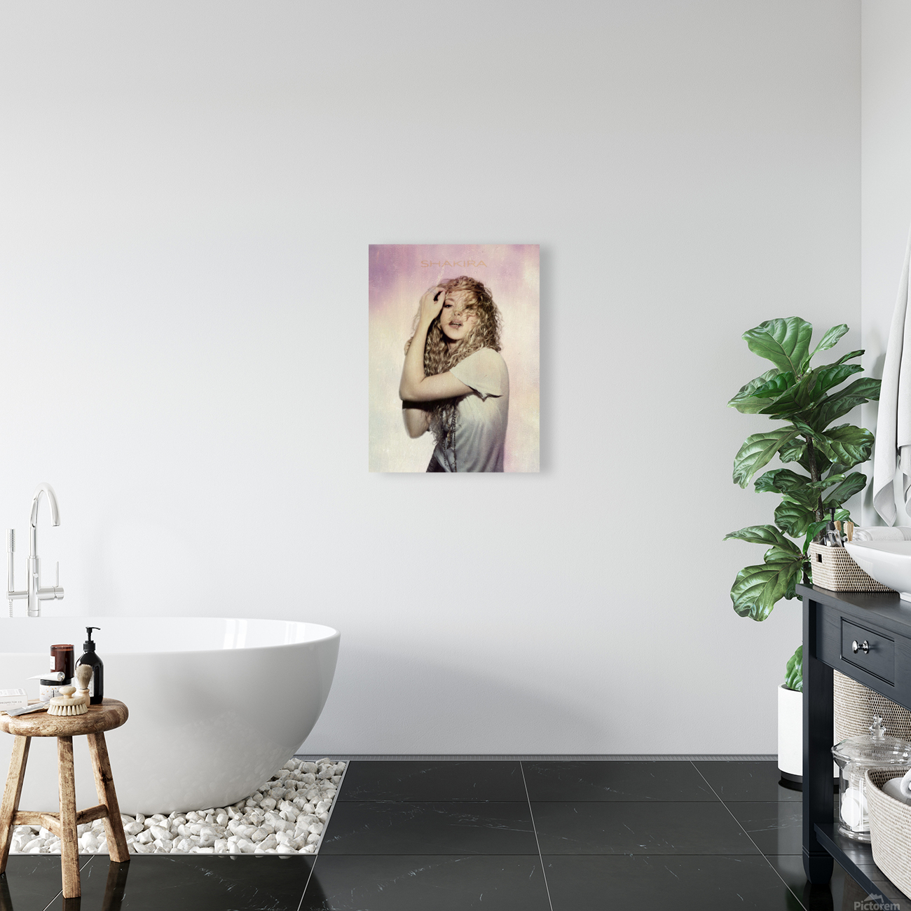 Shakira 2 Reproduction
