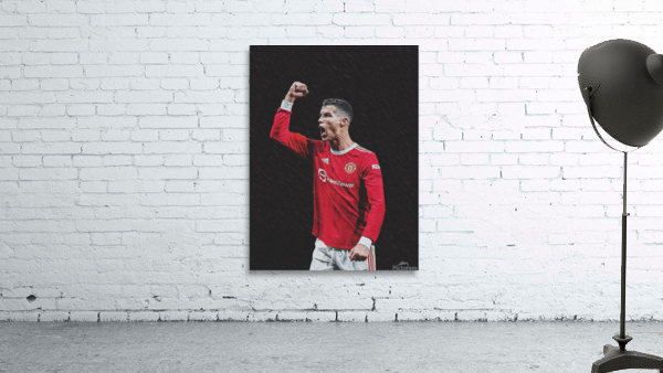 ronaldo2 Wall Preview