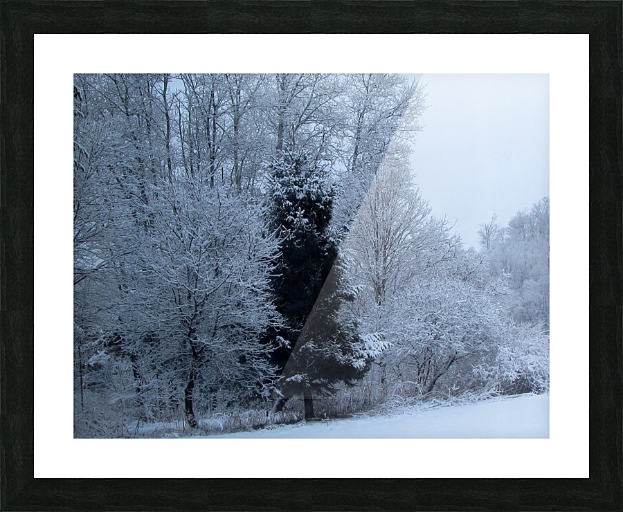 Winter Silence Picture Frame print