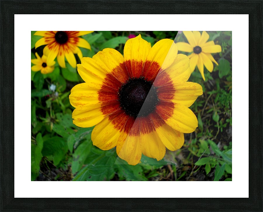 The Button Picture Frame print