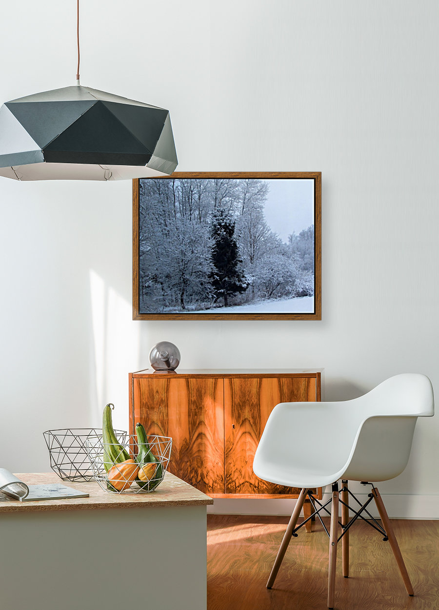 Winter Silence Reproduction