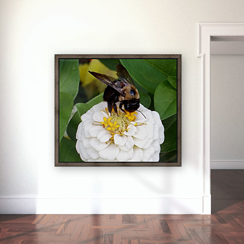 Busy As A Bee Reproduction