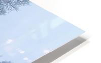 Winter Silence HD Metal print