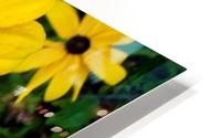The Button HD Metal print
