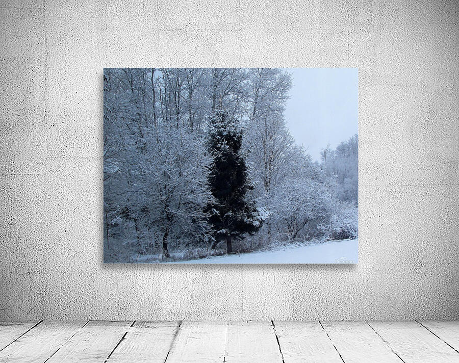 Winter Silence Wall Preview