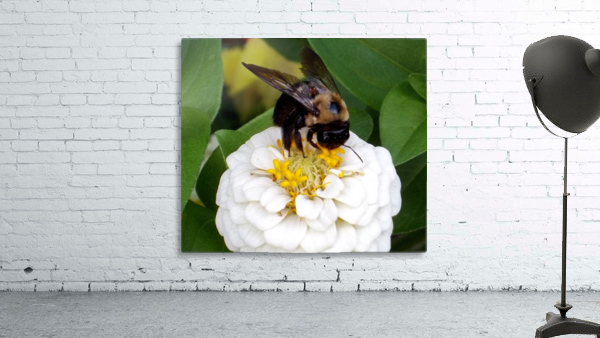 Busy As A Bee Wall Preview
