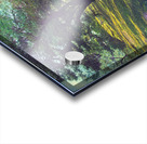 SPRING BLOOM TABLE MOUNTAIN P Acrylic print