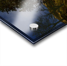 MAPLES IN MOONLIGHT P Acrylic print