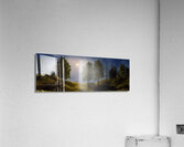 MAPLES IN MOONLIGHT P Acrylic Print