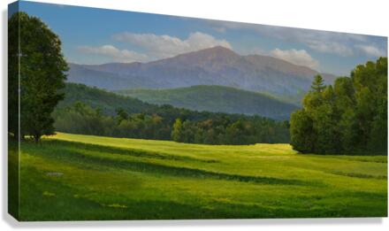 Spring Vista D
