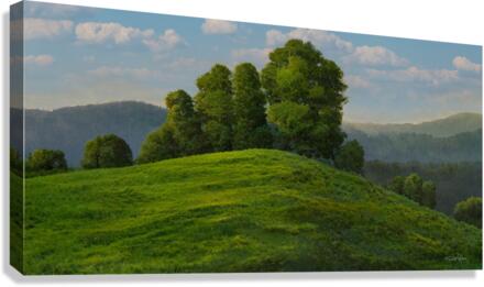 Toboggan Hill D