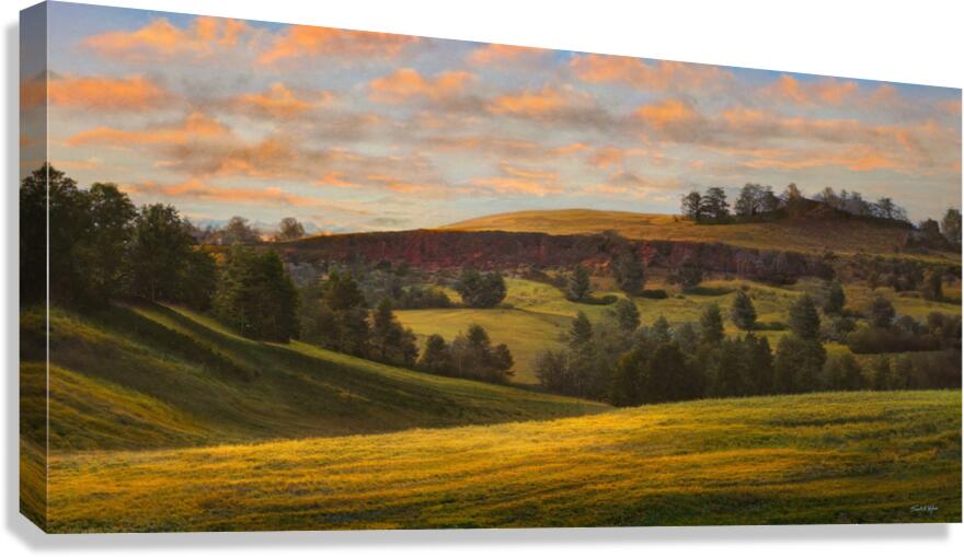 Spring In The Canyon D 