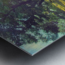 SPRING BLOOM TABLE MOUNTAIN P Metal print