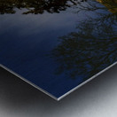 MAPLES IN MOONLIGHT P Metal print