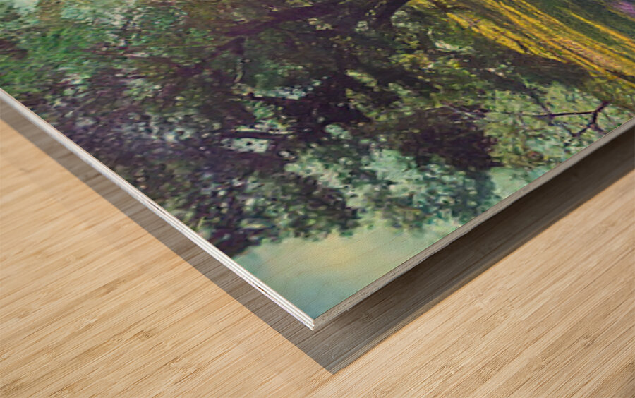 SPRING BLOOM TABLE MOUNTAIN P Wood print