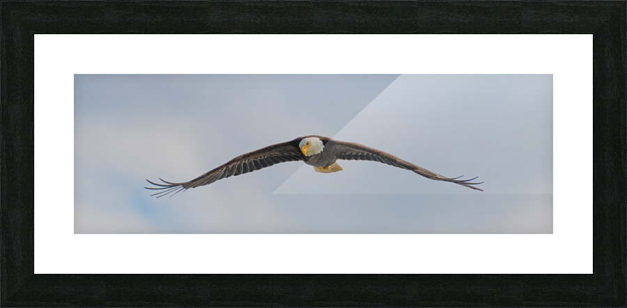 Watching Picture Frame print