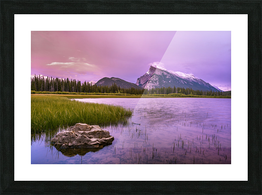 Pink Hues Picture Frame print